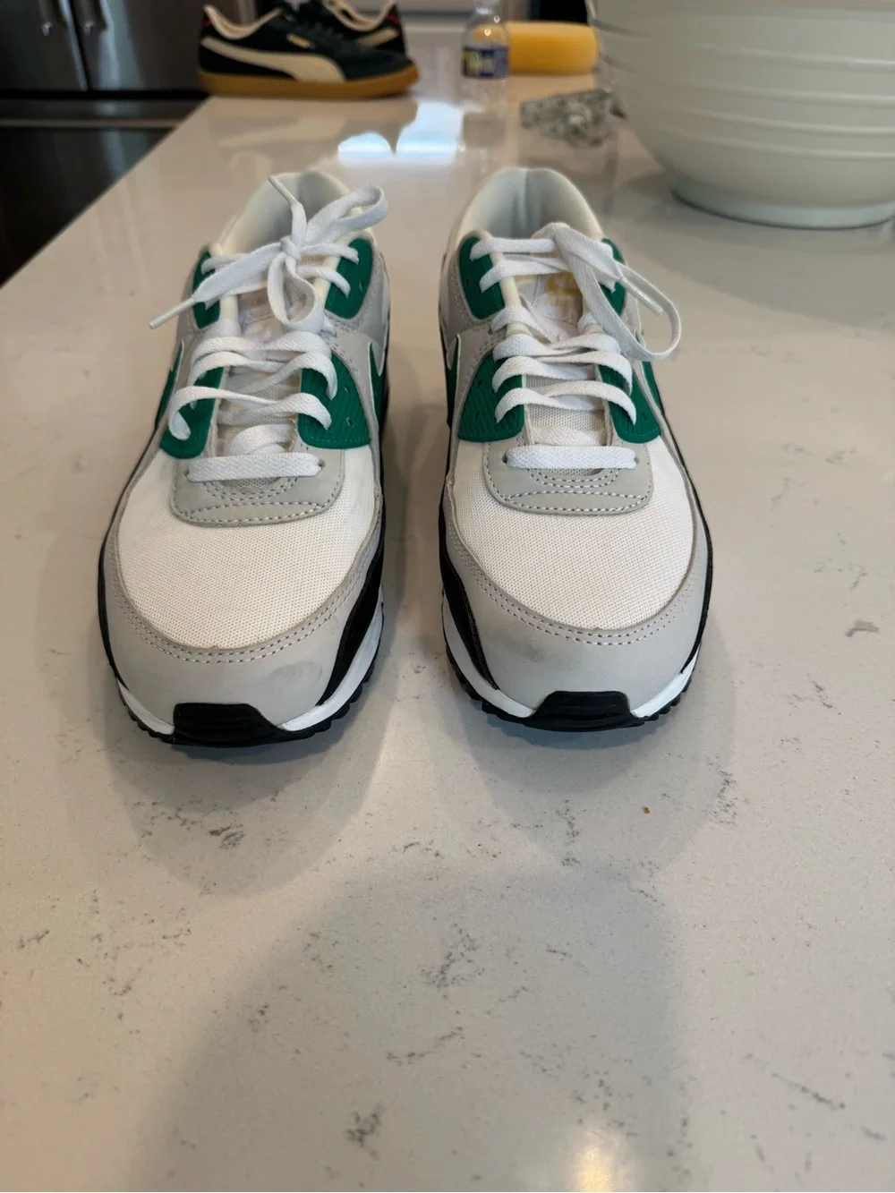 Nike Air Max 90 Premium Men’s Sneakers in Black & Green